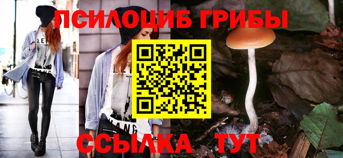 Кострома  Галлюциногенные грибы Psilocybine cubensis  дарнет шоп  Галлюциногенные грибы Psilocybine cubensis  Вход с VPN 