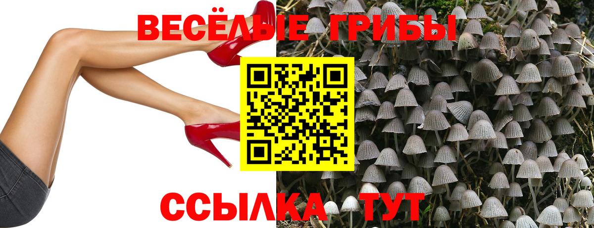 Псилоцибиновые грибы Psilocybine cubensis Кострома